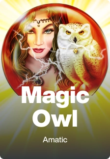 Magic Owl